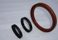 氟膠油封,丁腈油封,密封件,密封圈,骨架油封-邢臺(tái)環(huán)宇密封件廠